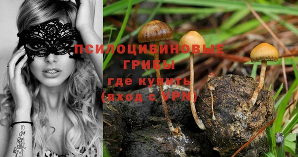 каннабис Туринск