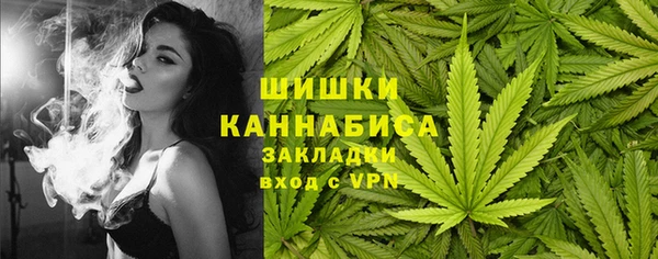 молекула духа Дмитриев